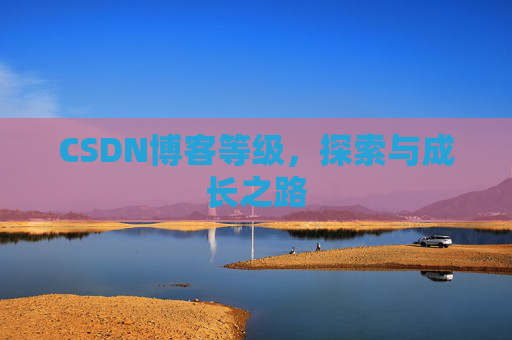 CSDN博客等级，探索与成长之路